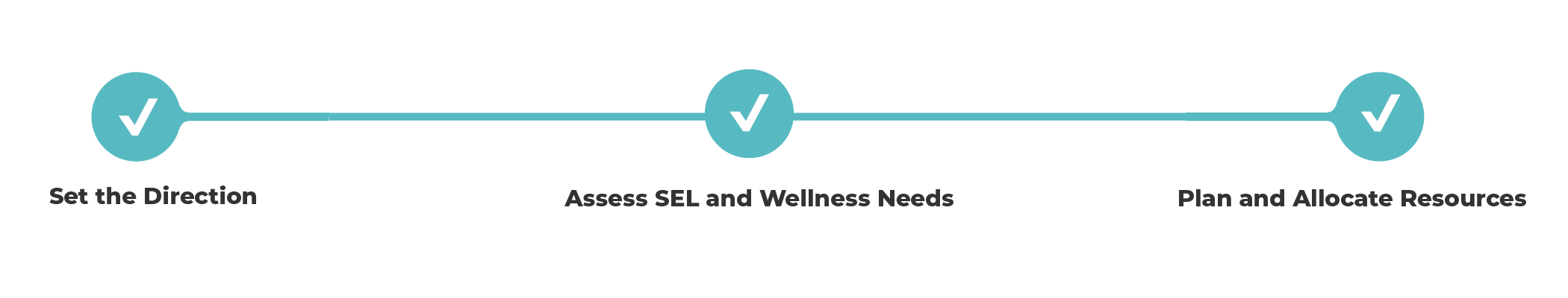 100% completed progress bar with three steps: set the direction., assess SEL and wellness needs, plan and allocate resources. 