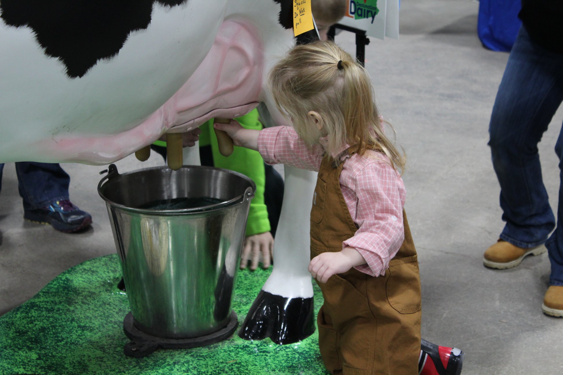 A young girl milking a fake cow at the 2020 Pennsylvania Farm Show.